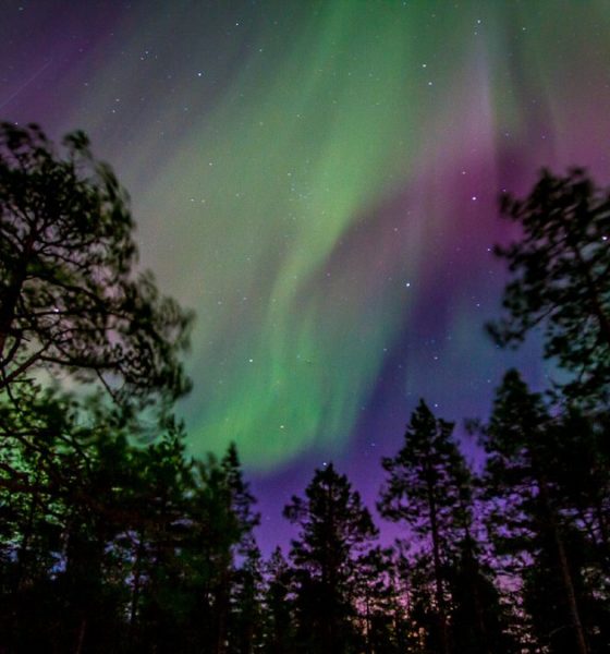 Auroras boreales en Laponia Sueca. Foto: Travel in Shots