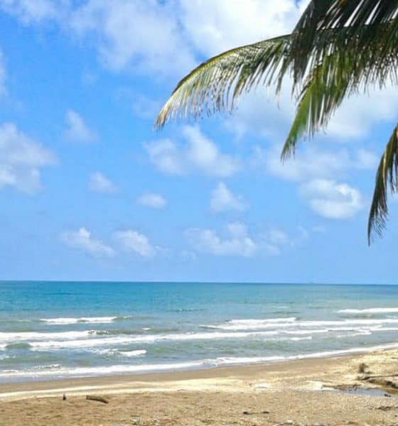 Ubicado en Veracruz, Tecolutla te espera para deleitarte con todas sus atracciones turísticas. Foto: City Express