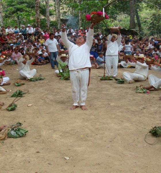 Ritual sardina ciega Foto: wikipedia.