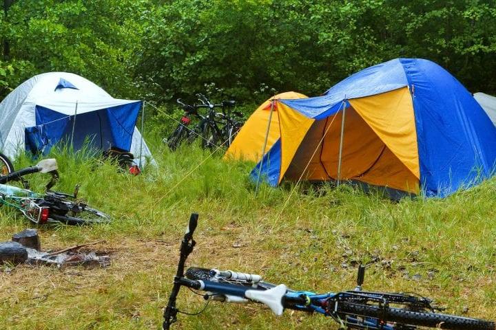 consejo para acampar en el bosque 