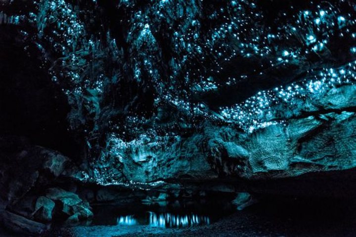 Cueva Glowwarm en Nueva Zelanda. Foto Pinterest