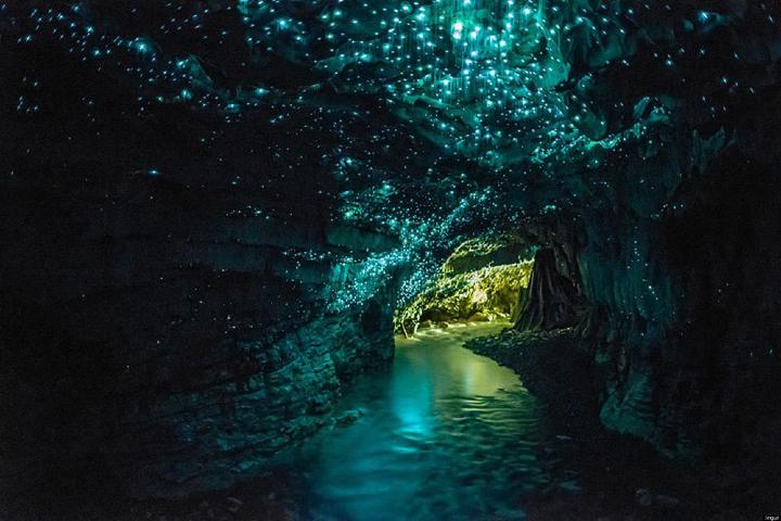 No dejes de visitar esta increíble cueva en Nueva Zelanda. Foto: Eleazar Gómez