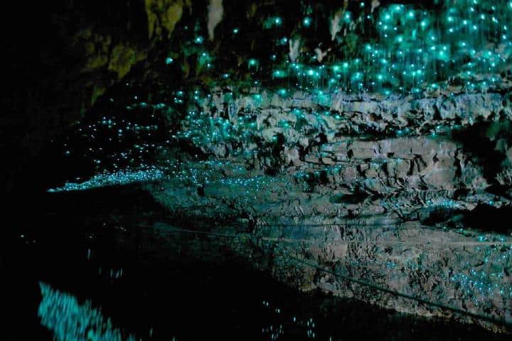 Cueva Glowwarm. Foto: Ivan Varella