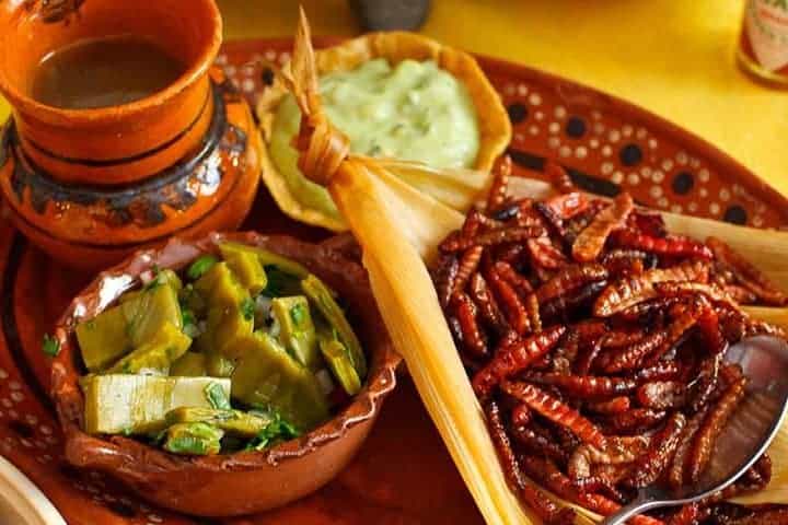 EL-SUMARIO-Feria-gastronómica-ofreció-alimentos-con-insectos-en-Honduras