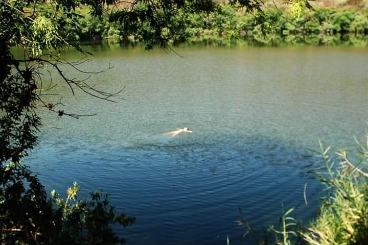 Hombre nadando Foto de Pagina de Facebook La Alberca de los Espinos