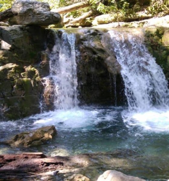 Parque Natural la Estanzuela. Foto: nlgob
