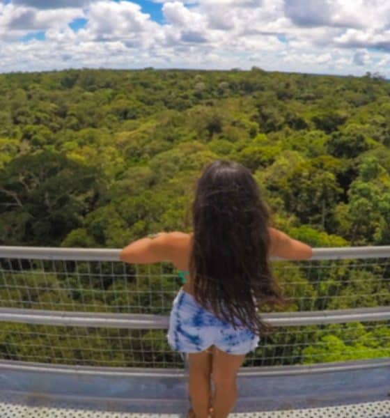 Bosque de la Ciencia. Foto: getyourguide