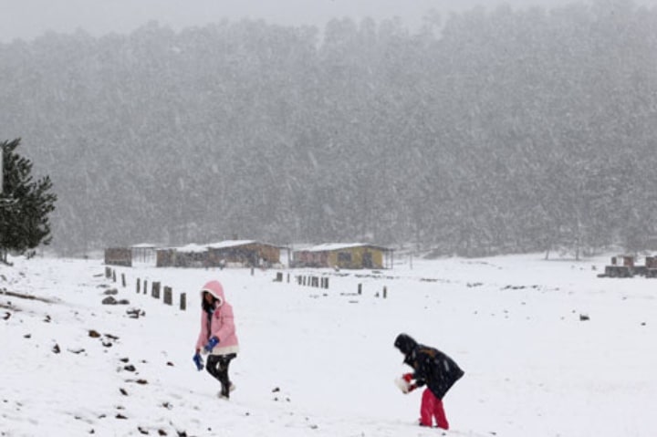 Ajusco se llena de nieve durante el invierno ¡Es bellísimo! Foto: Archivo