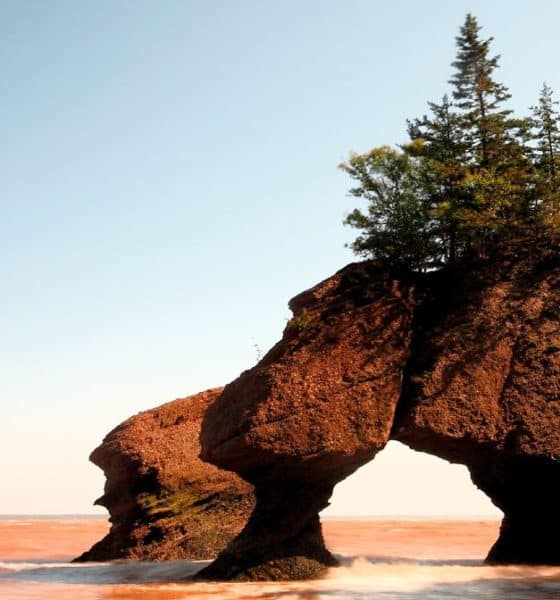 Bahia Fundy. Foto: GrowPro Experience