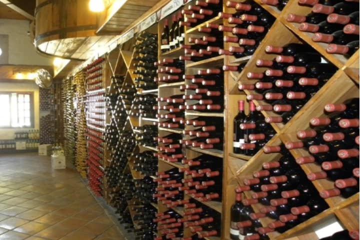 El mundo del vino en la Boutique de Tijuana Foto: Tips para tu viaje El mundo del vino en la Boutique de Tijuana Foto: Tips para tu viaje