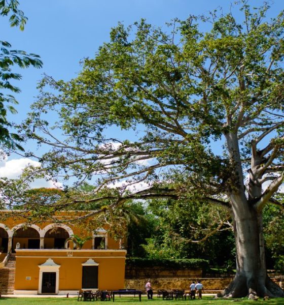 Hacienda Uayamón de Campeche. Foto: Gerardo Rodríguez