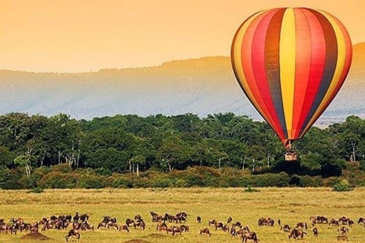 ¡El viaje en globo por el Parque Nacional Masai Mara es alucinante! Foto: masai_mara_safari