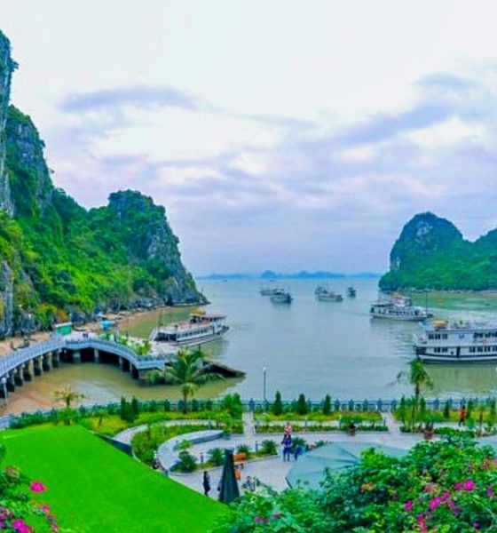 Que hacer en Bahía Ha-Long en Vietnam. Foto: Charith Gunarathna