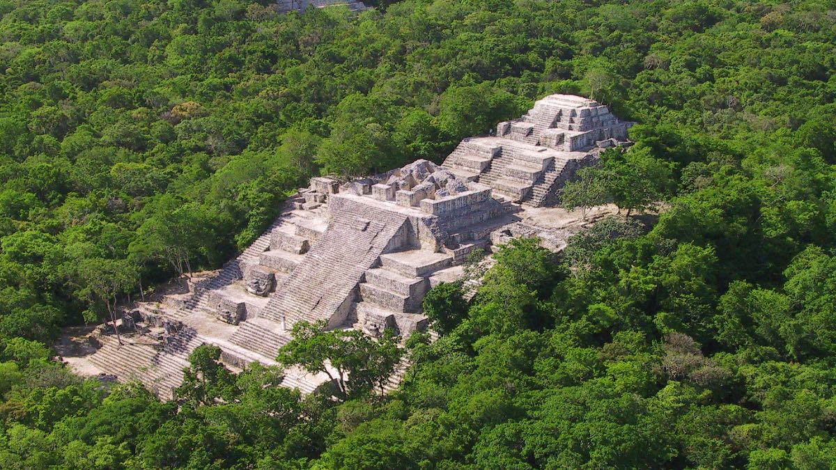 Calakmul, la tierra secreta de Campeche. Foto: Archivo