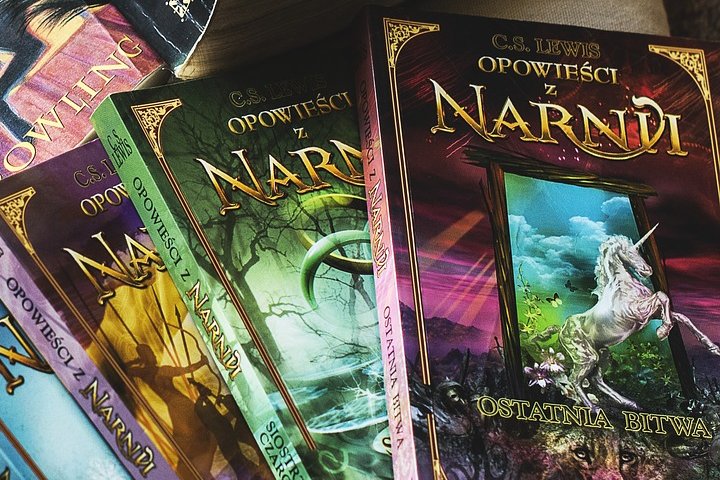 Las Crónicas de Narnia son lecturas que nos transportan a lugares épicos. Foto: Katrina_S | Pixabay