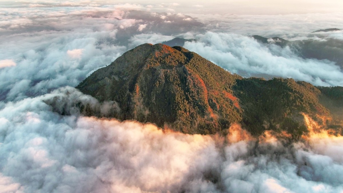 Reserva de la Biosfera del Volcán Tacaná de Chiapas. Foto: Archivo