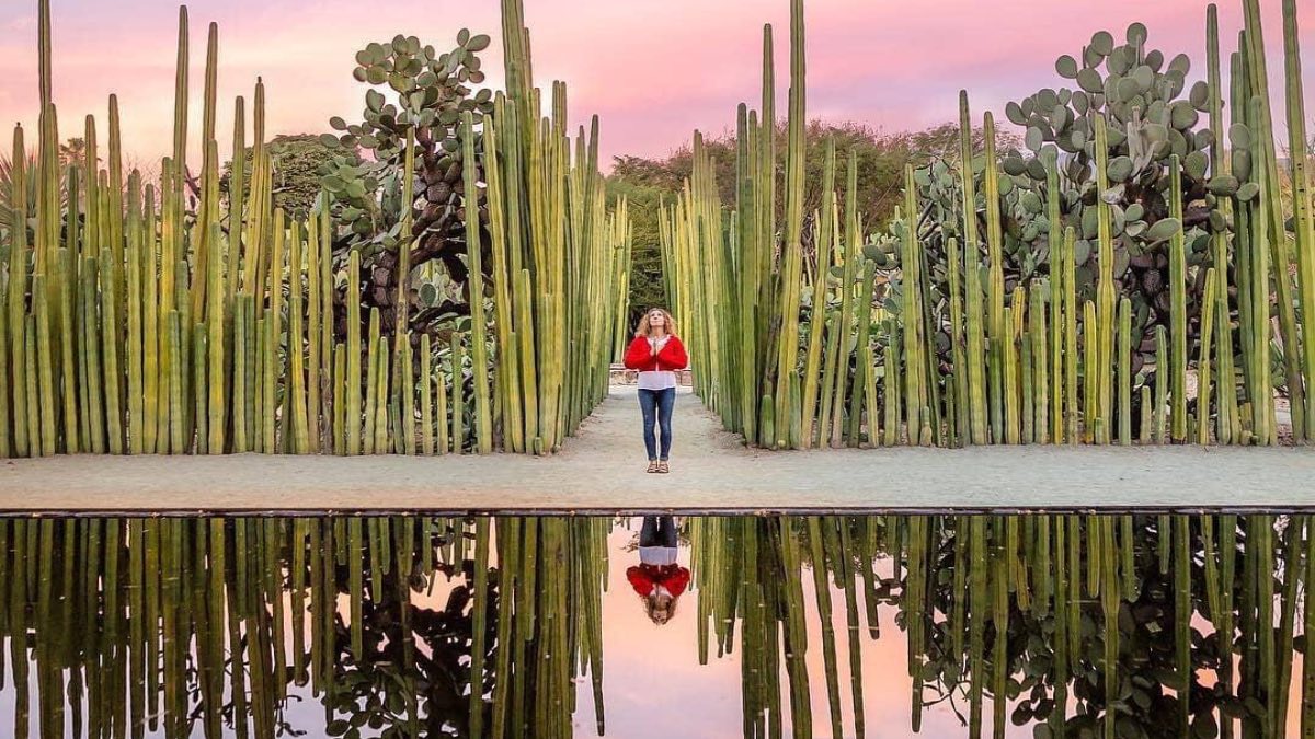 Concurso de fotografía de Visit México. Foto: @zuckerandspice