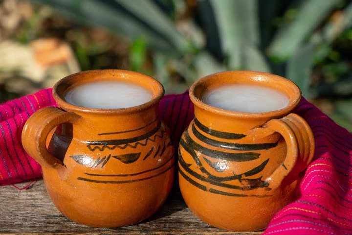 El pulque es una bebida deliciosa. Foto: Archivo