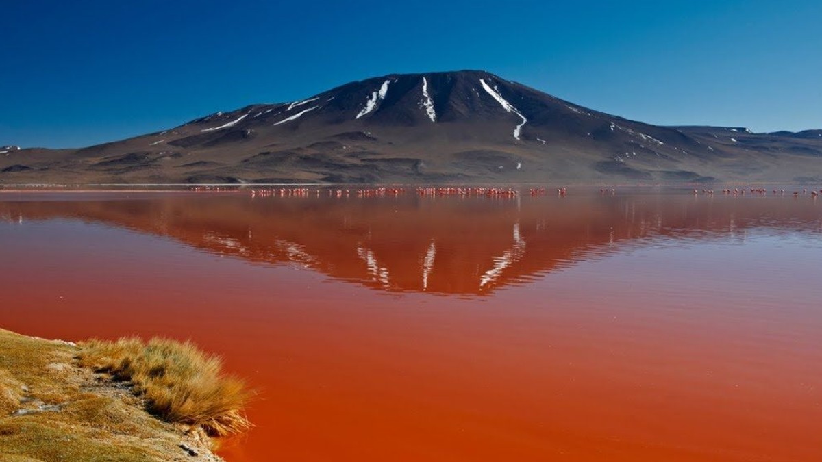 lago natron