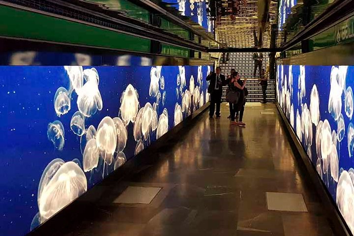Exposición digital en el Metro de la CDMX. Foto: Dónde Ir