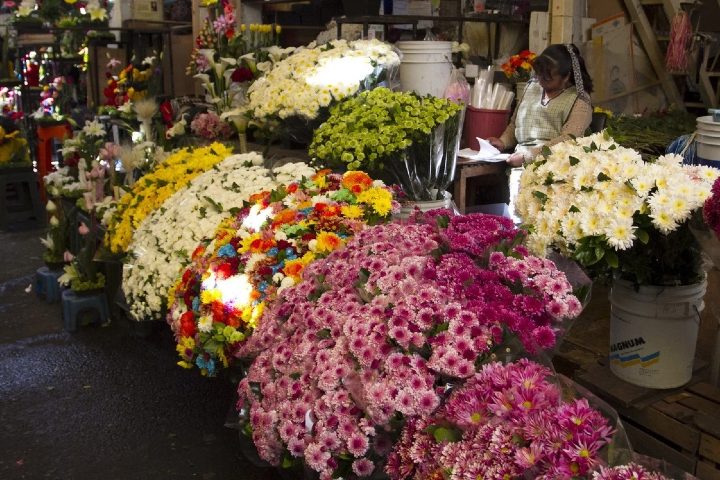 Mercado de la Jamaica en CDMX. Foto: Guapa con flores