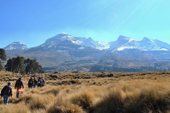 Este espacio busca la preservación de la naturaleza. Foto: Mexiquenses