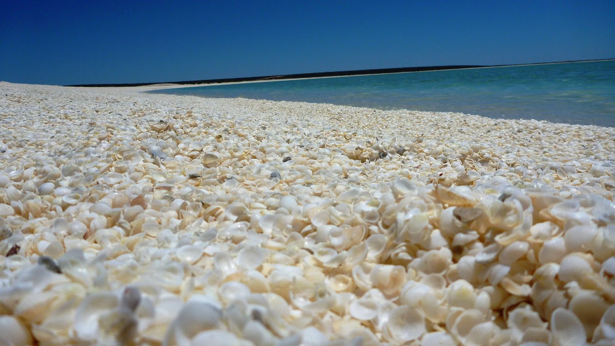 Playa de conchitas, Australia. Foto: Didou Pepita | Flickr