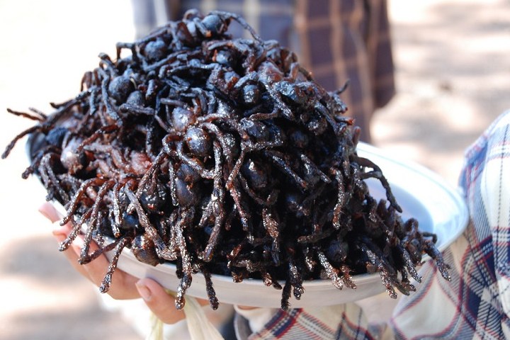 Tarántula frita de Camboya. Foto: Hostelworld