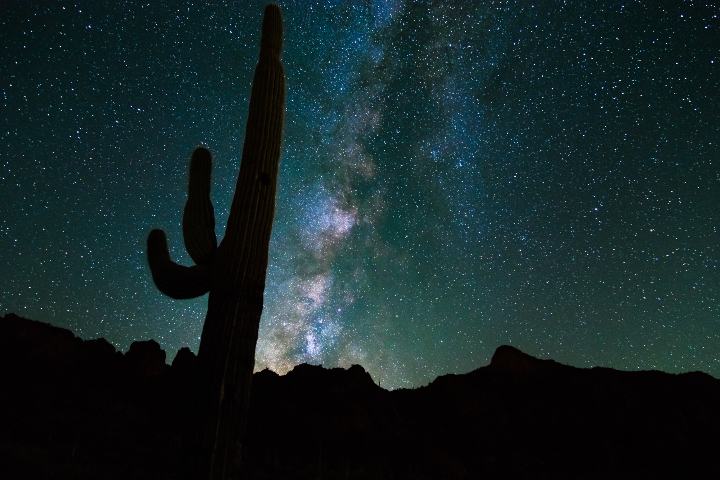 Paisaje desértico en Arizona. Foto Turismo Arizona
