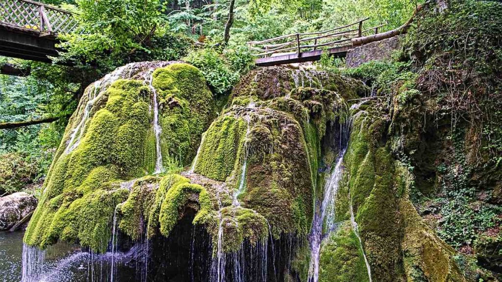 Tour ecoturístico: recorre las cascadas de Puebla - México Desconocido