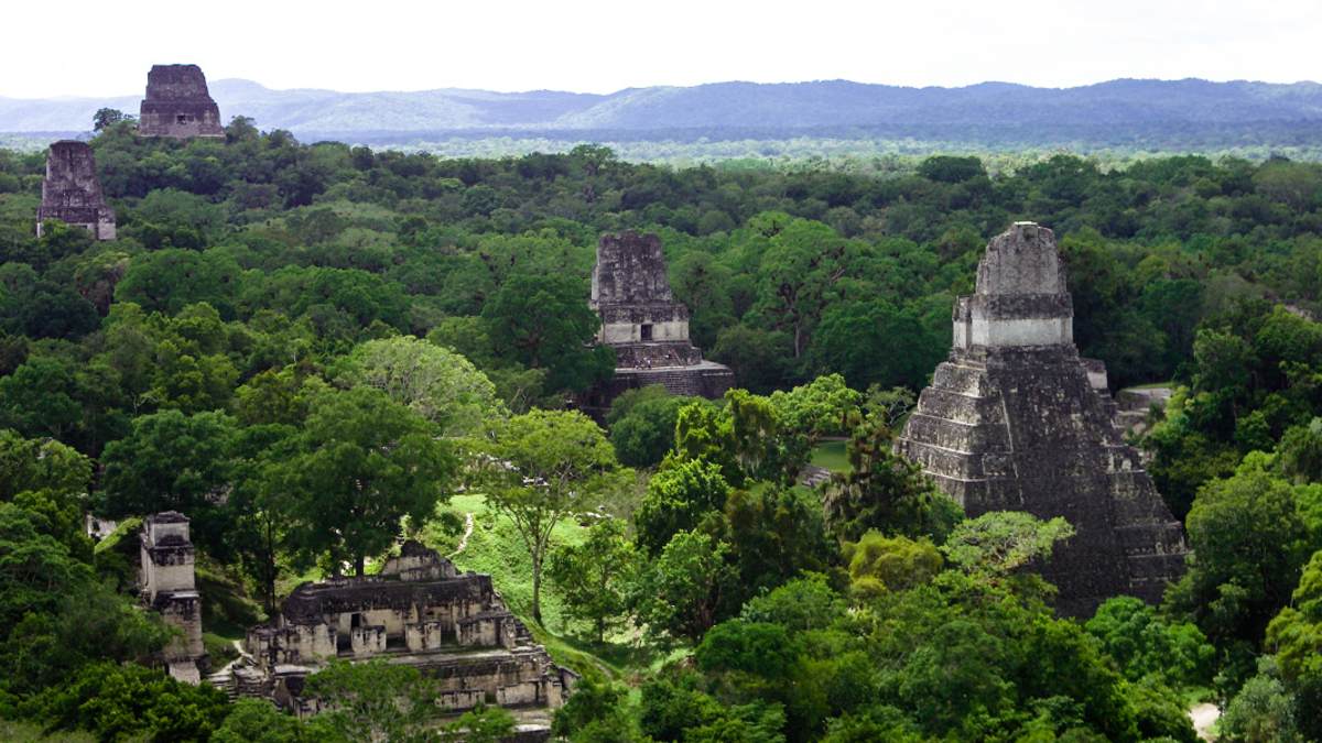 Parque Nacional Tikal Portada