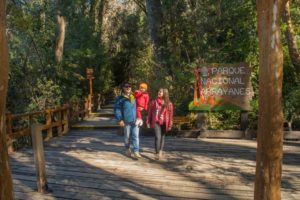 El Parque Nacional de los Arrayanes en Argentina | El Souvenir