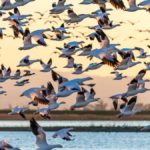 Museo Apache en Chihuahua ¡A que no lo sabías! | El Souvenir