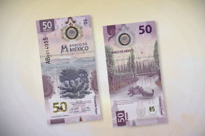 historia-billete-cincuenta-pesos-3