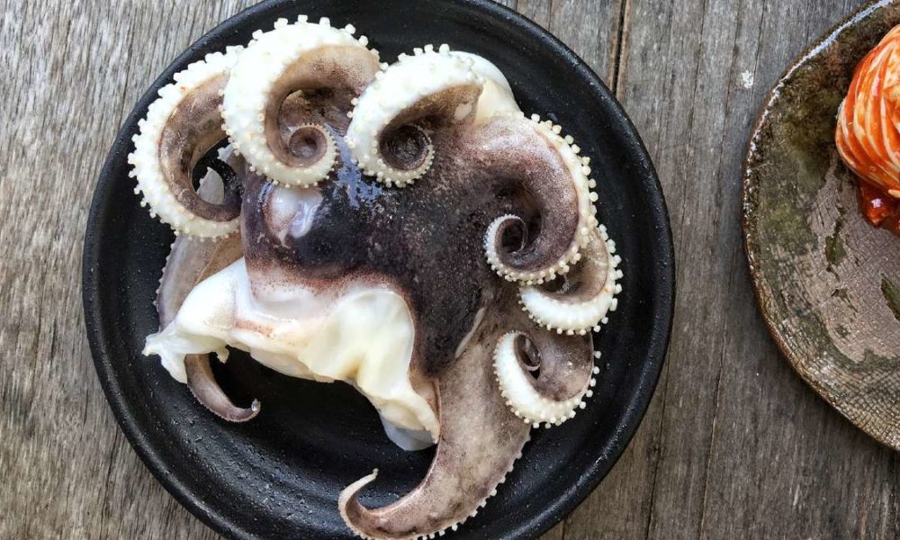 Sannakji, la delicia coreana ¡mortal! que debes probar | El Souvenir