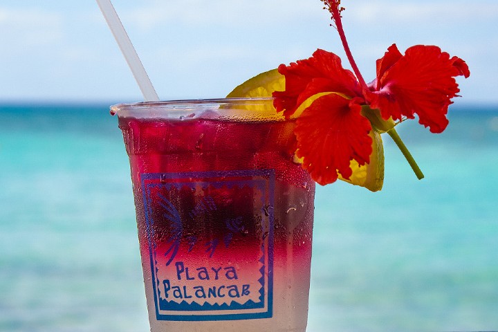 Bebida-Foto-por-Playa-Palancar