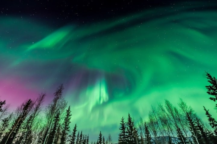 Northern-Lights.-Foto-por-Bearfoot-Theory