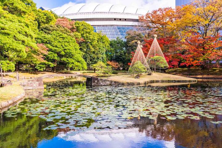 Jardin-botanico-Koishikawa-1