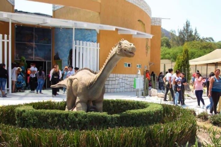 Museo-de-Dinosaurios-Foto-por-Local-MX12787