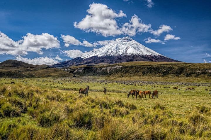 Cotopaxi. Foto: Lonely Planet