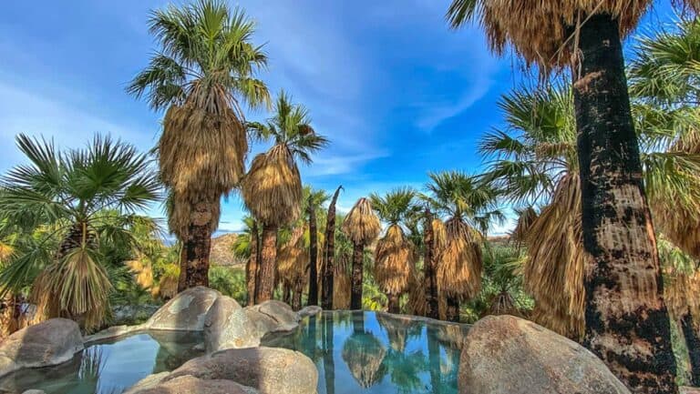 Cañón de Guadalupe ¡Un oasis en medio del desierto! El Souvenir