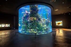 Gran Acuario Mazatlán, ¡el más grande de Latinoamérica! | El Souvenir