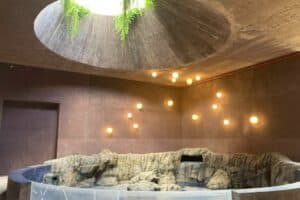 Gran Acuario Mazatlán, ¡el más grande de Latinoamérica! | El Souvenir
