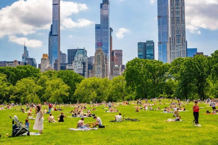 Central Park en verano. Foto: New York Simply