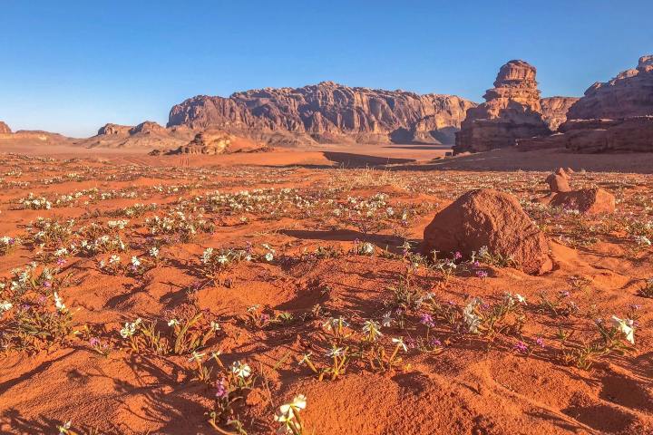Desierto en Jordania. Foto: Web