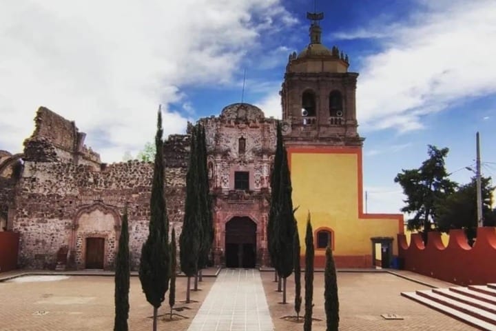 Pinos Zacatecas