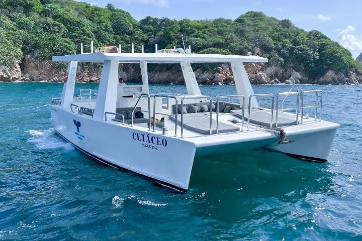 Catamaran-Cetaceo-de-Acapulco