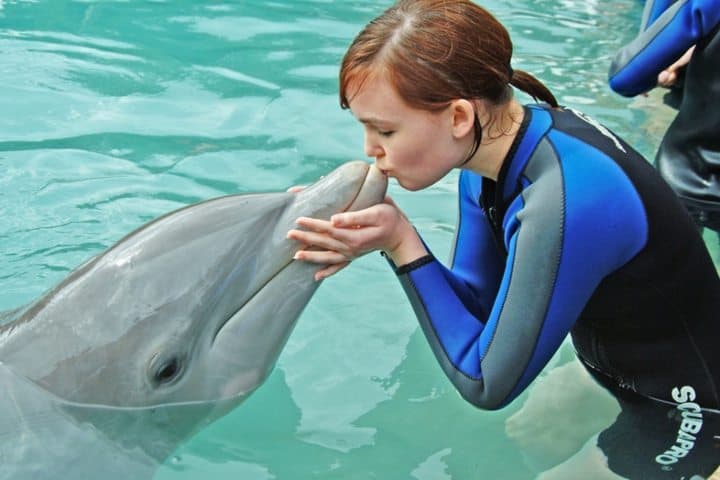 Delfines. Foto: Miami Seaquarium