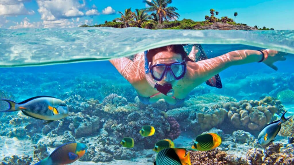 PORTADA Cozumel Snorkel