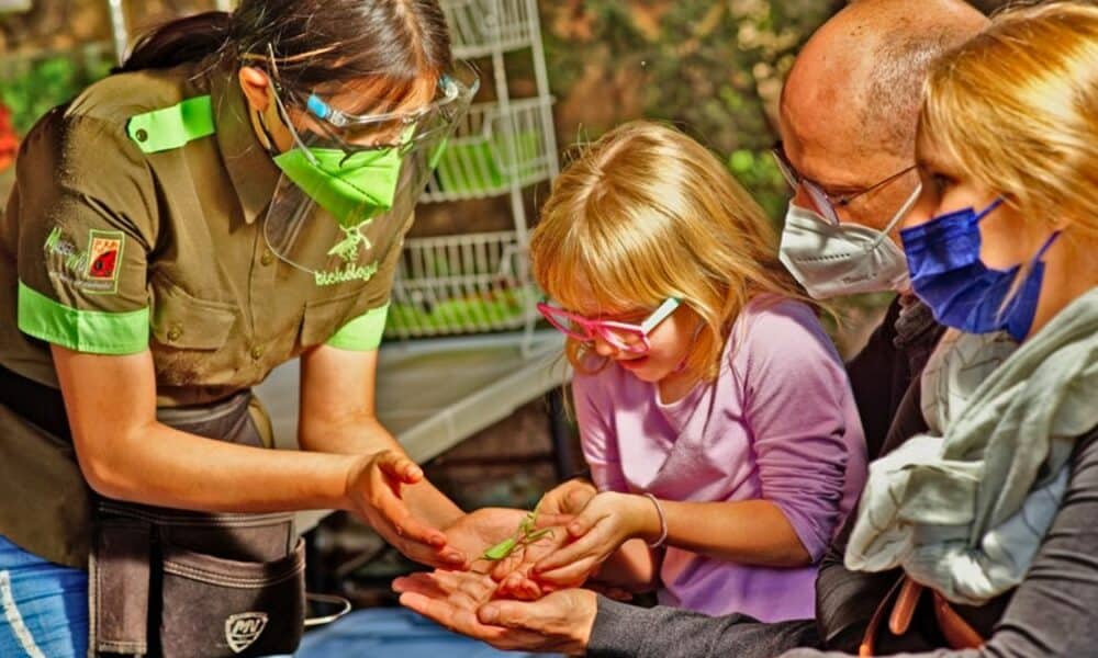 Museo Apache en Chihuahua ¡A que no lo sabías! | El Souvenir